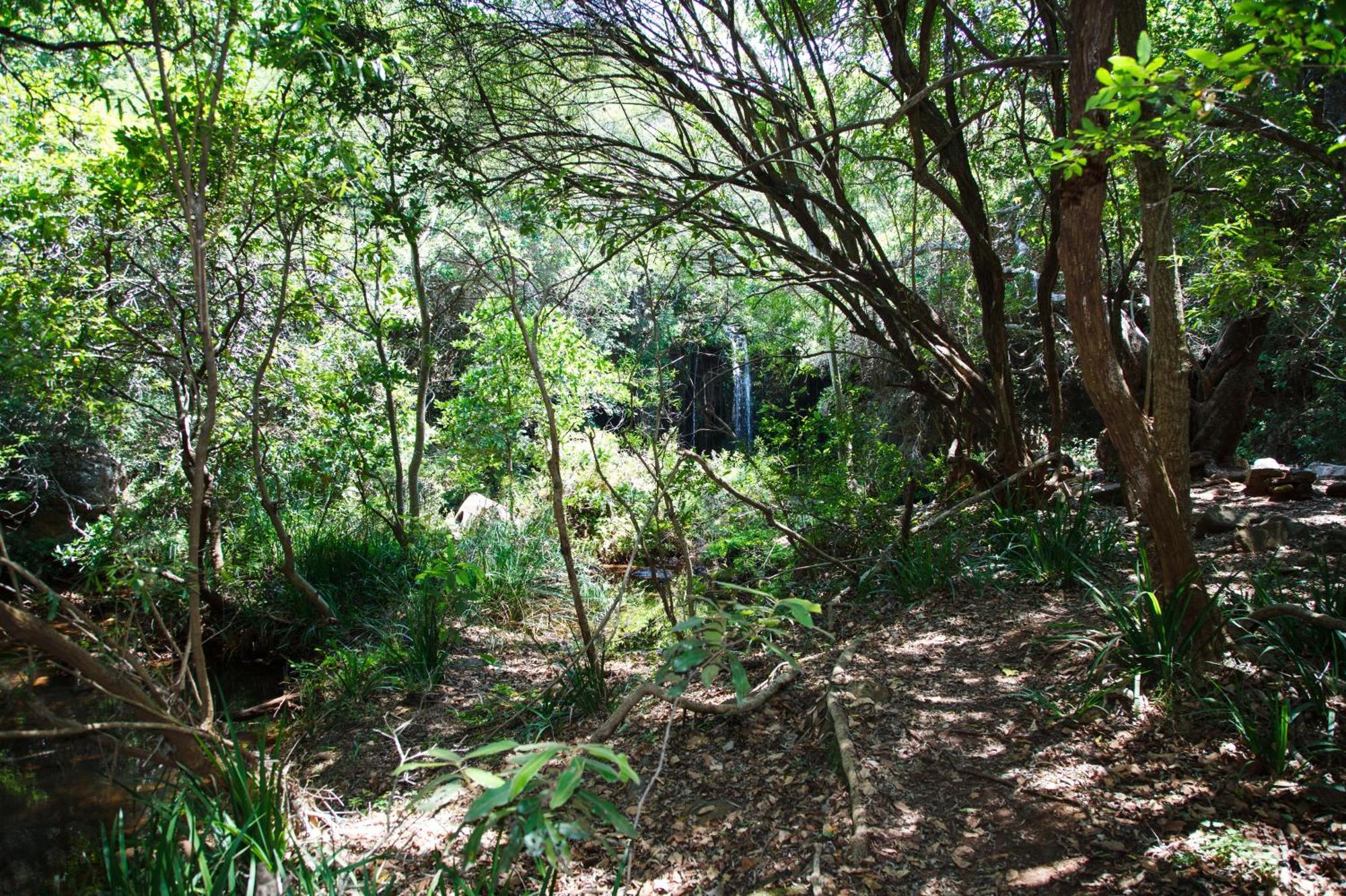 Blyde Canyon, A Forever Resort Matibidi Zewnętrze zdjęcie