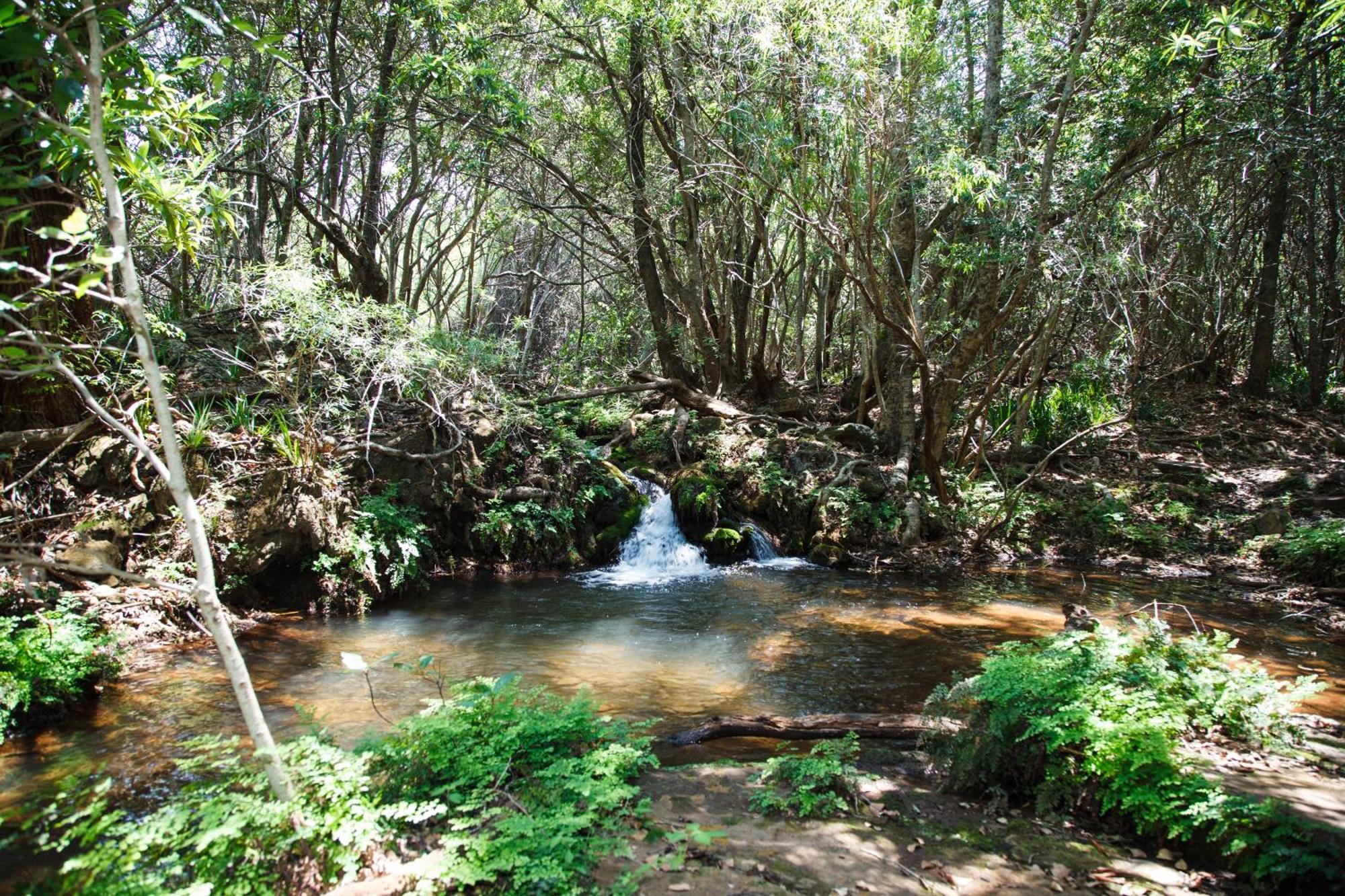 Blyde Canyon, A Forever Resort Matibidi Zewnętrze zdjęcie